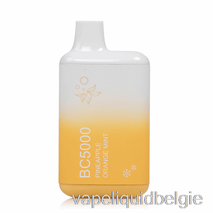 Vape Smaken Bc5000 Wegwerp Ananas Oranje Munt